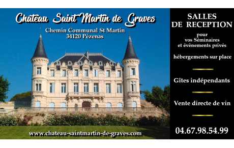 CHATEAU SAINT MARTIN DE GRAVES